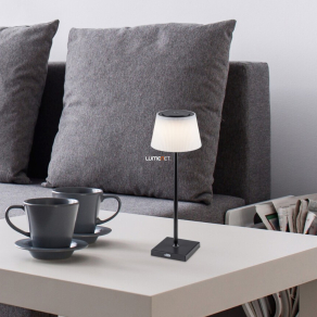   Szabályozható asztali LED lámpa fekete-fehér színben 38 cm - Taena Rábalux 76010, USB, érintőkapcsolós, fröccsenő víz ellen védett, 3000-5000 K, 200 lm, 4 W