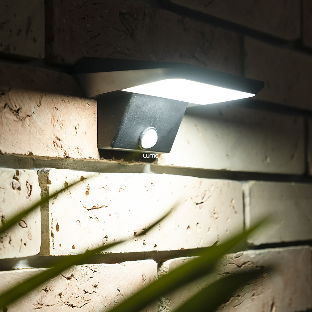 Kültéri napelemes fali LED lámpa, 10x15,5 cm (Qesa)