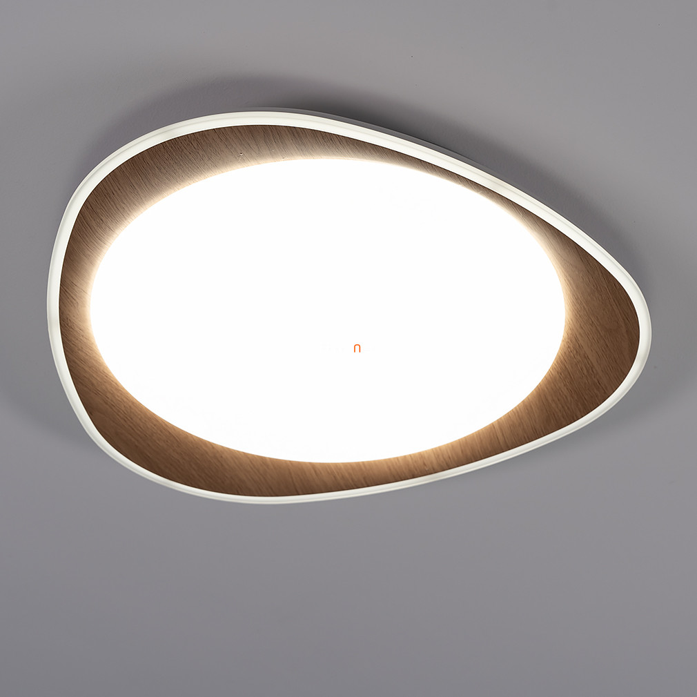 Fa hatású mennyezeti LED lámpa (Tamino)