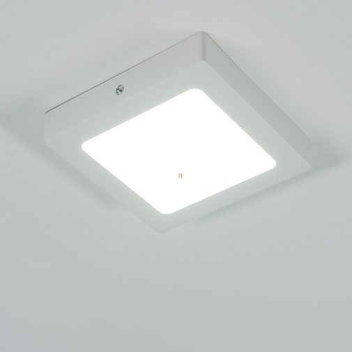 Mennyezeti LED lámpa hidegfehér fényű (Lois)