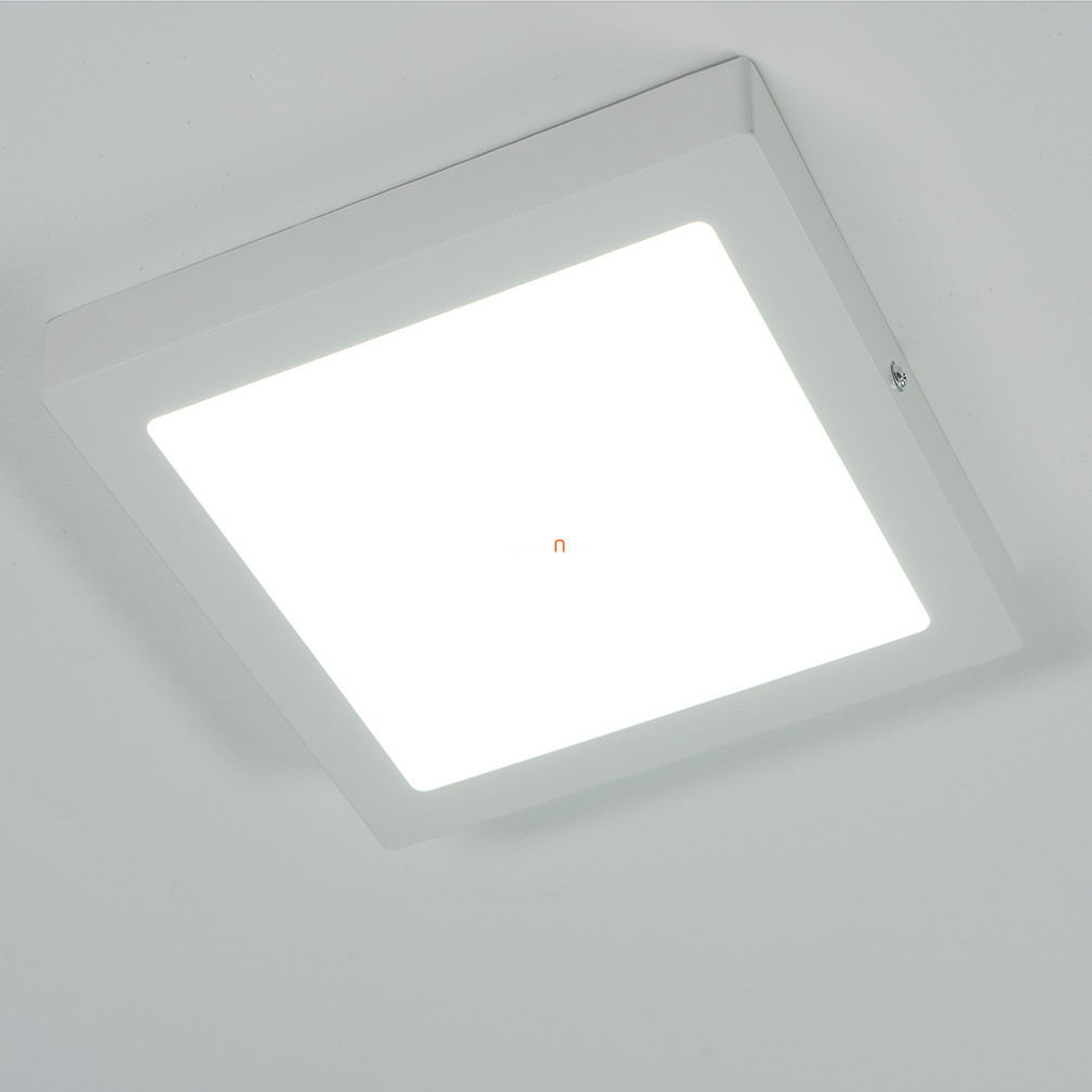 Mennyezeti LED lámpa fehér színben (Lois)
