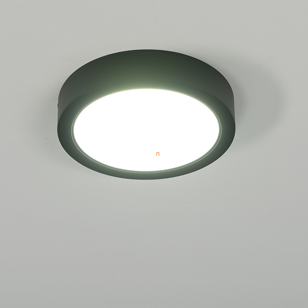 Kerek mennyezeti LED lámpa, fekete-fehér színben, 22 cm (Shaun)