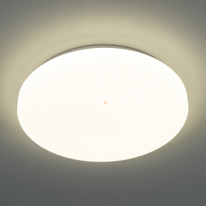 Kerek mennyezeti LED lámpa, 29cm - Rob Rábalux 3338