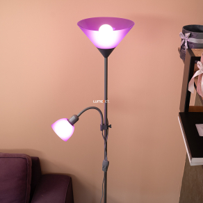   Lila színű állólámpa olvasókarral, 178 cm - Action Rábalux 4020, zsinórkapcsoló, 1xE27+1xE14 foglalattal