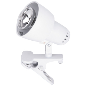   Csíptetős spot lámpa, 10 cm - Clip Rábalux 4356, 1xE14 foglalattal