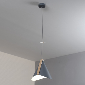   Fa pántos függesztett lámpa szürke színben - Neva Rábalux 6649