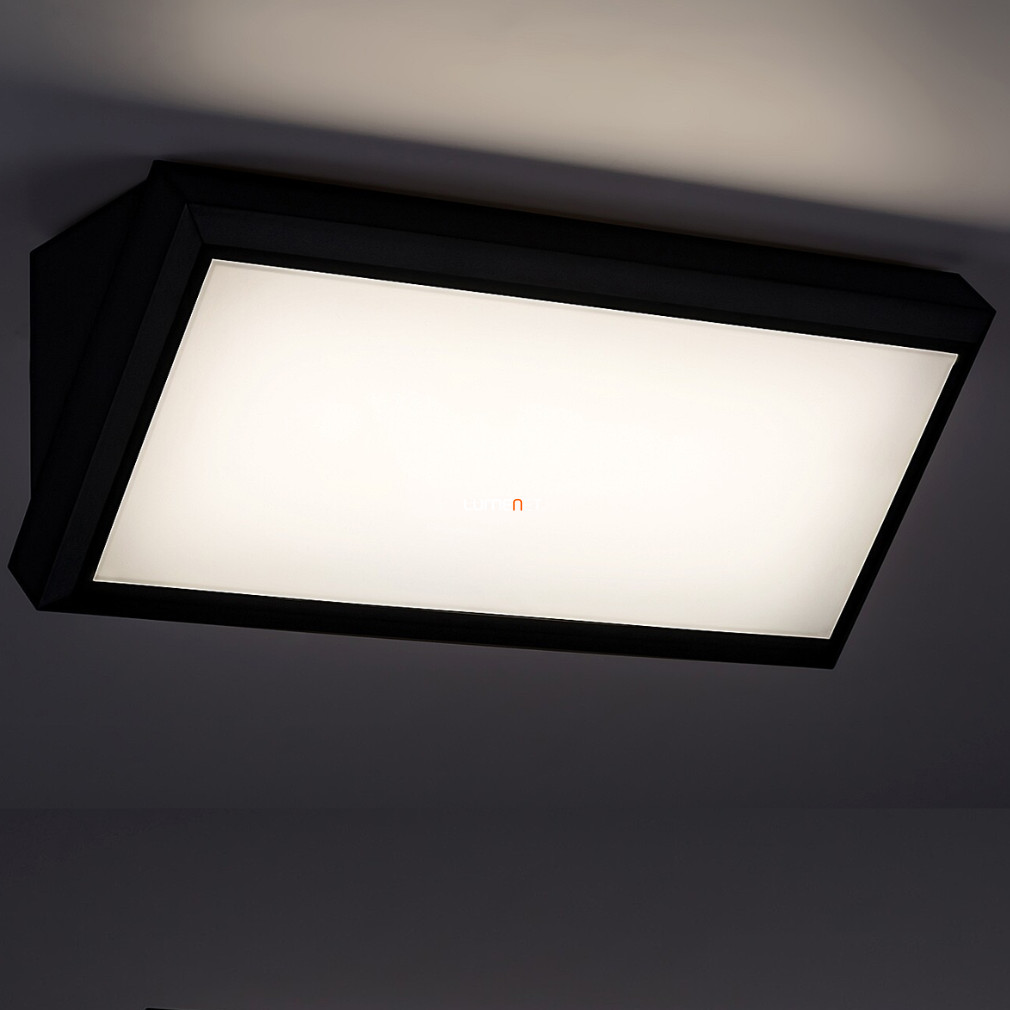 Kültéri fali LED lámpa, fekete (Rapla)