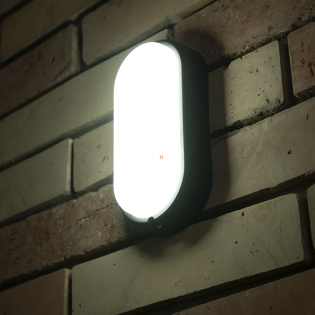 Kültéri ovális fali LED lámpa (Hort)