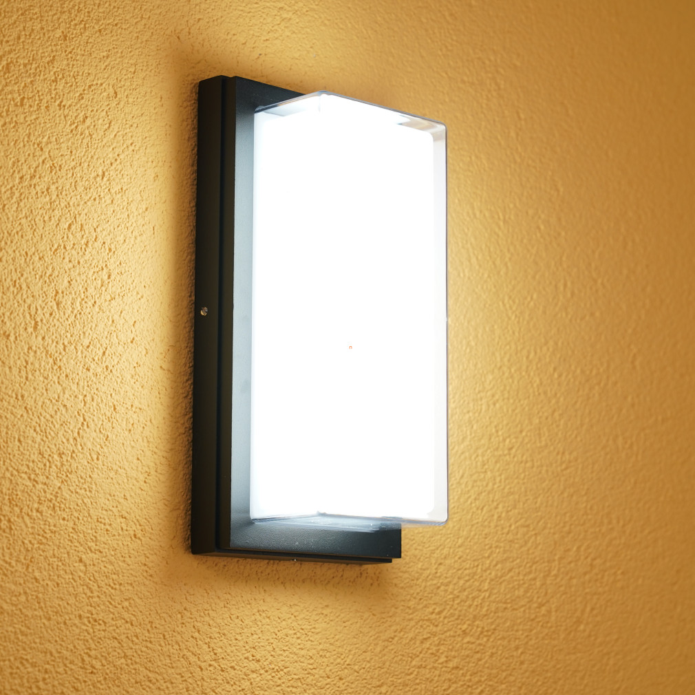 Kültéri fali LED lámpa 12 W, hidegfehér (Andorra)