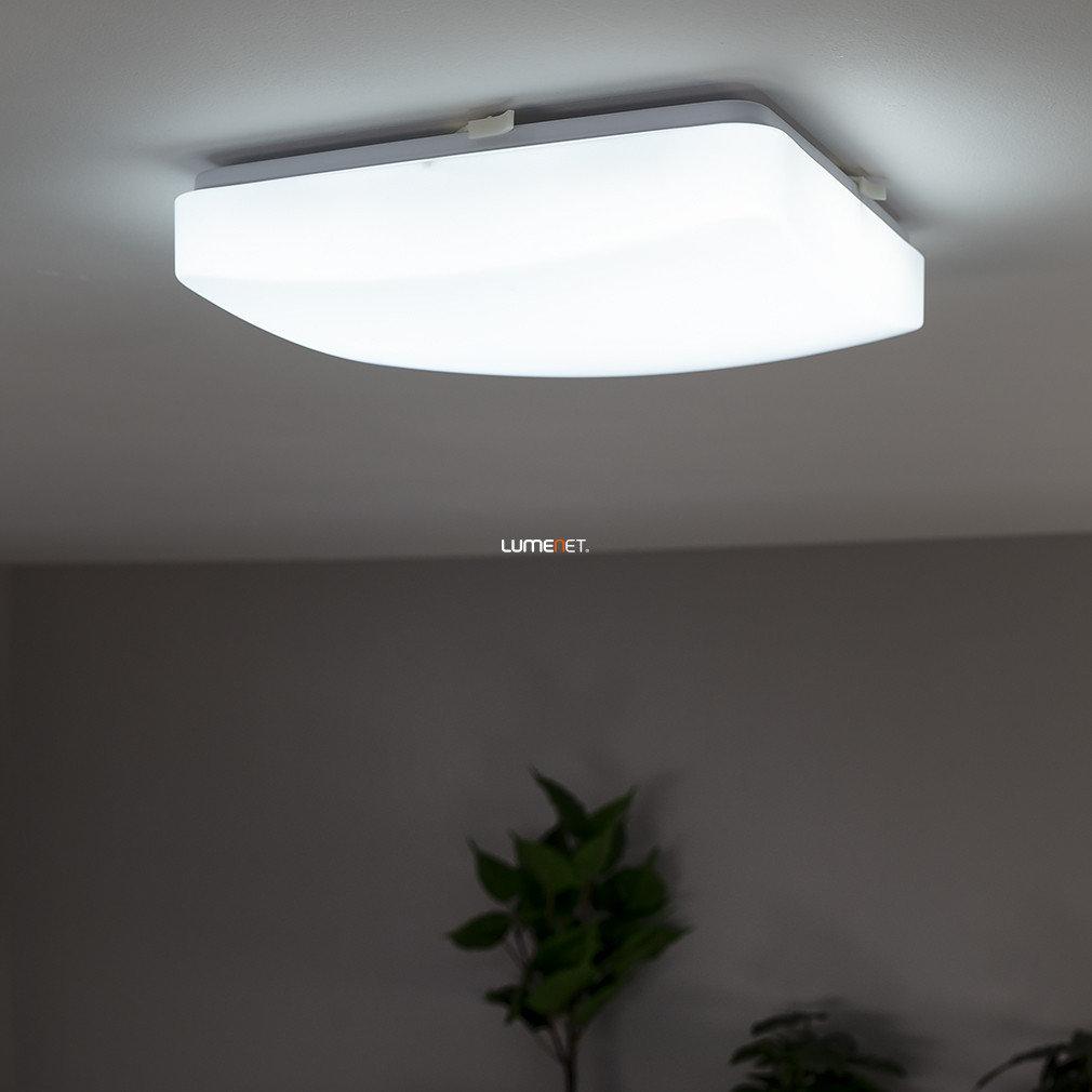 Mennyezeti LED lámpa, 28x28 cm (Desdemona)