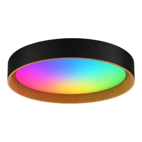   Szabályozható mennyezeti LED lámpa+RGB fekete kerek falon kívüli 24W 2760lm 3000/4000/6500K - Forest DEL1893