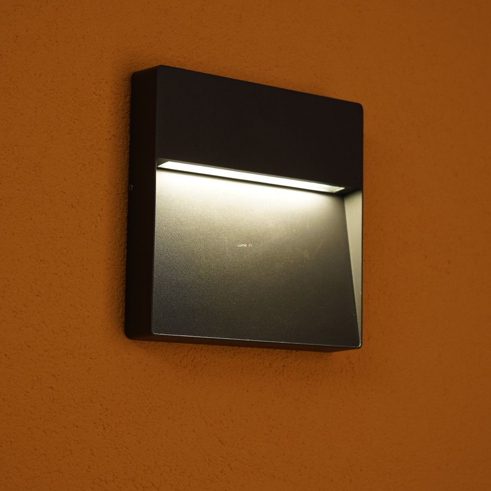 Kültéri fali LED lámpa 6 W, melegfehér, szürke színű (Even)