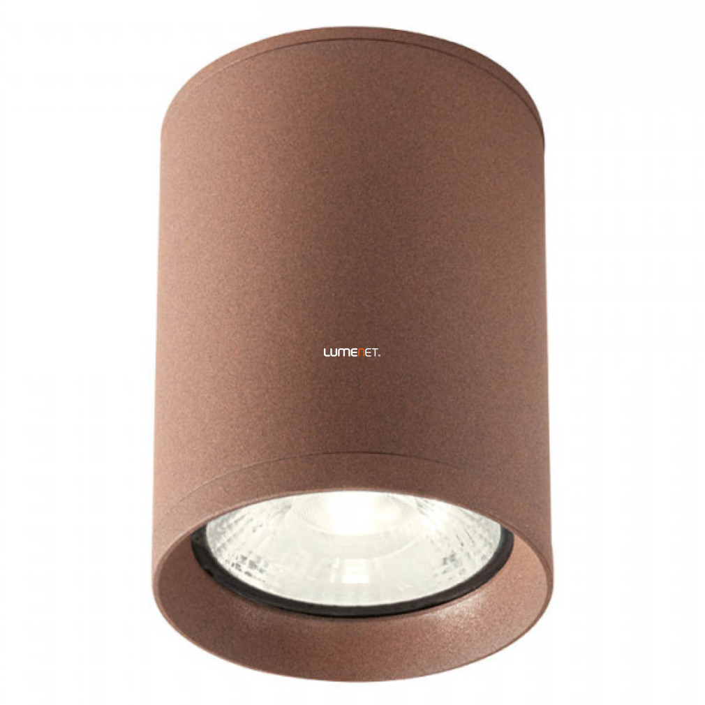 Kültéri mennyezeti LED lámpa 9 W, hidegfehér, barna színű (Xilo)