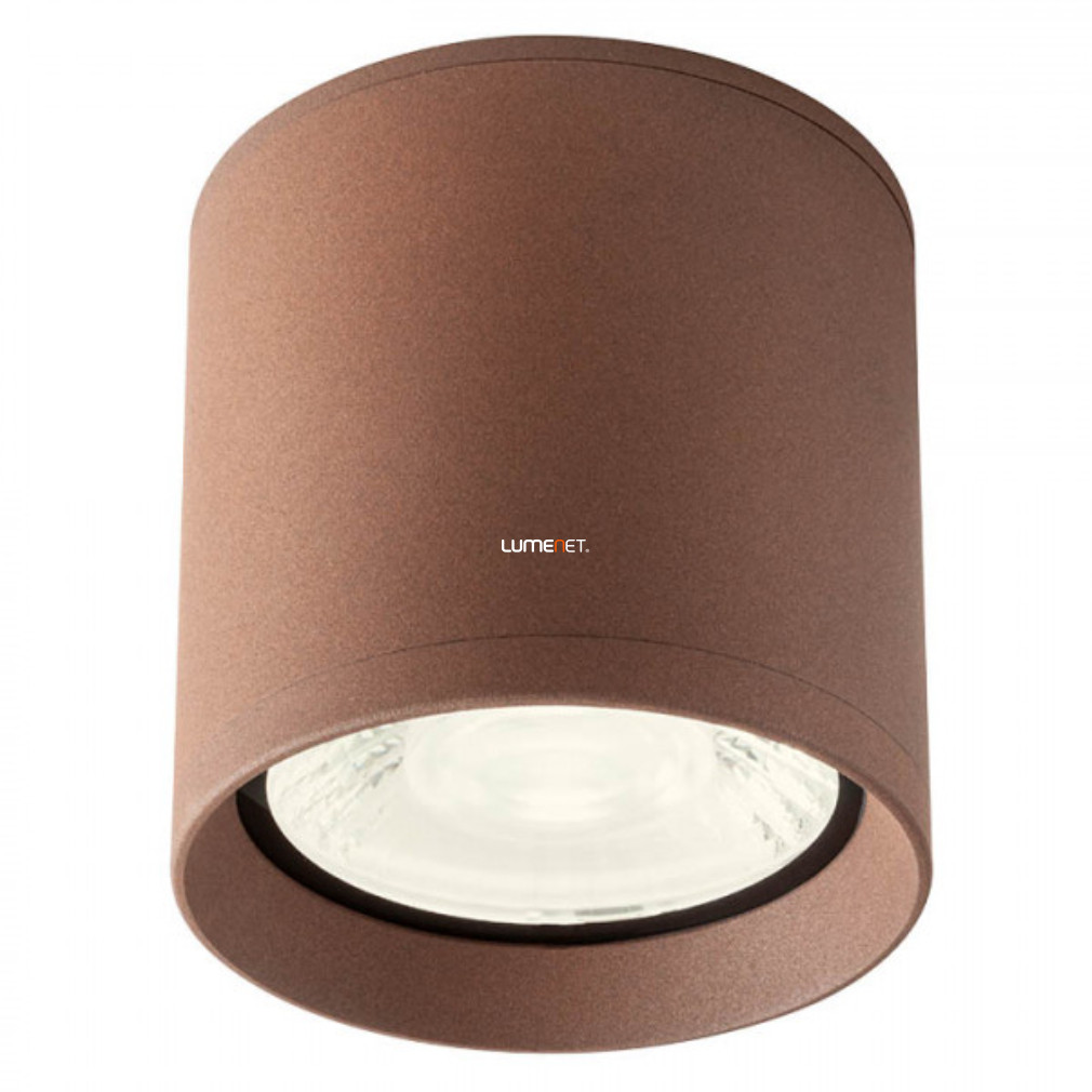 Kültéri mennyezeti LED lámpa 15 W, hidegfehér, barna színű (Xilo)