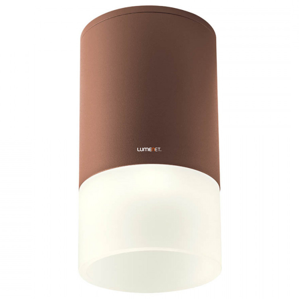 Kültéri mennyezeti LED lámpa 6 W, hidegfehér, barna-opál (Xilo)
