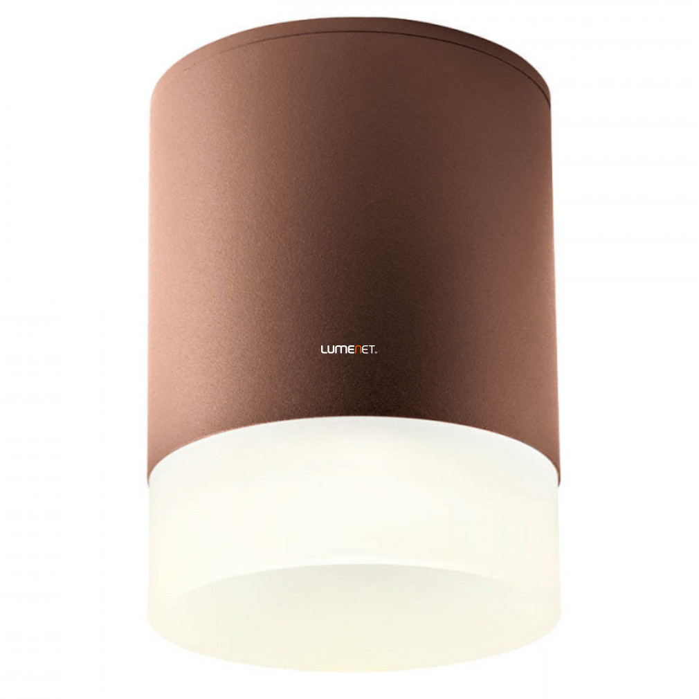 Kültéri mennyezeti LED lámpa 15 W, melegfehér, barna-opál (Xilo)