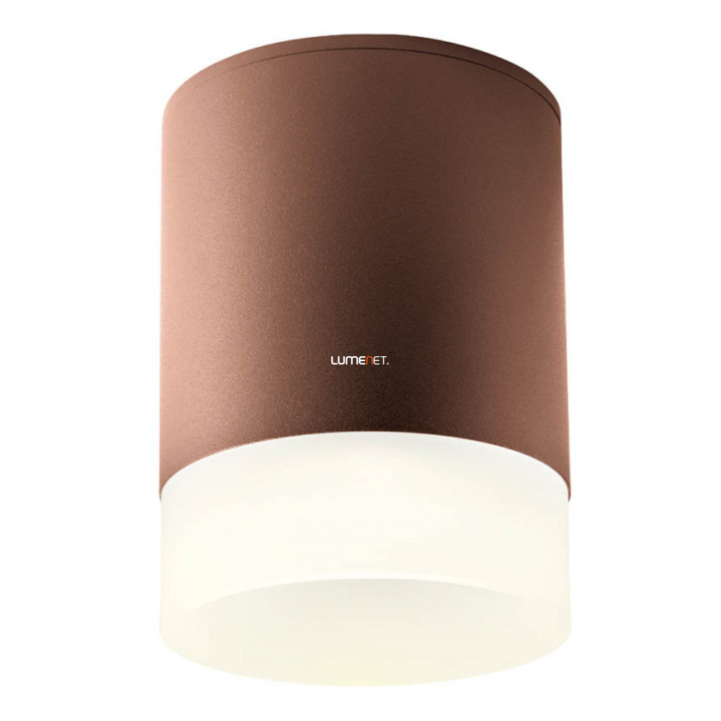 Kültéri mennyezeti LED lámpa 15 W, hidegfehér, barna-opál (Xilo)