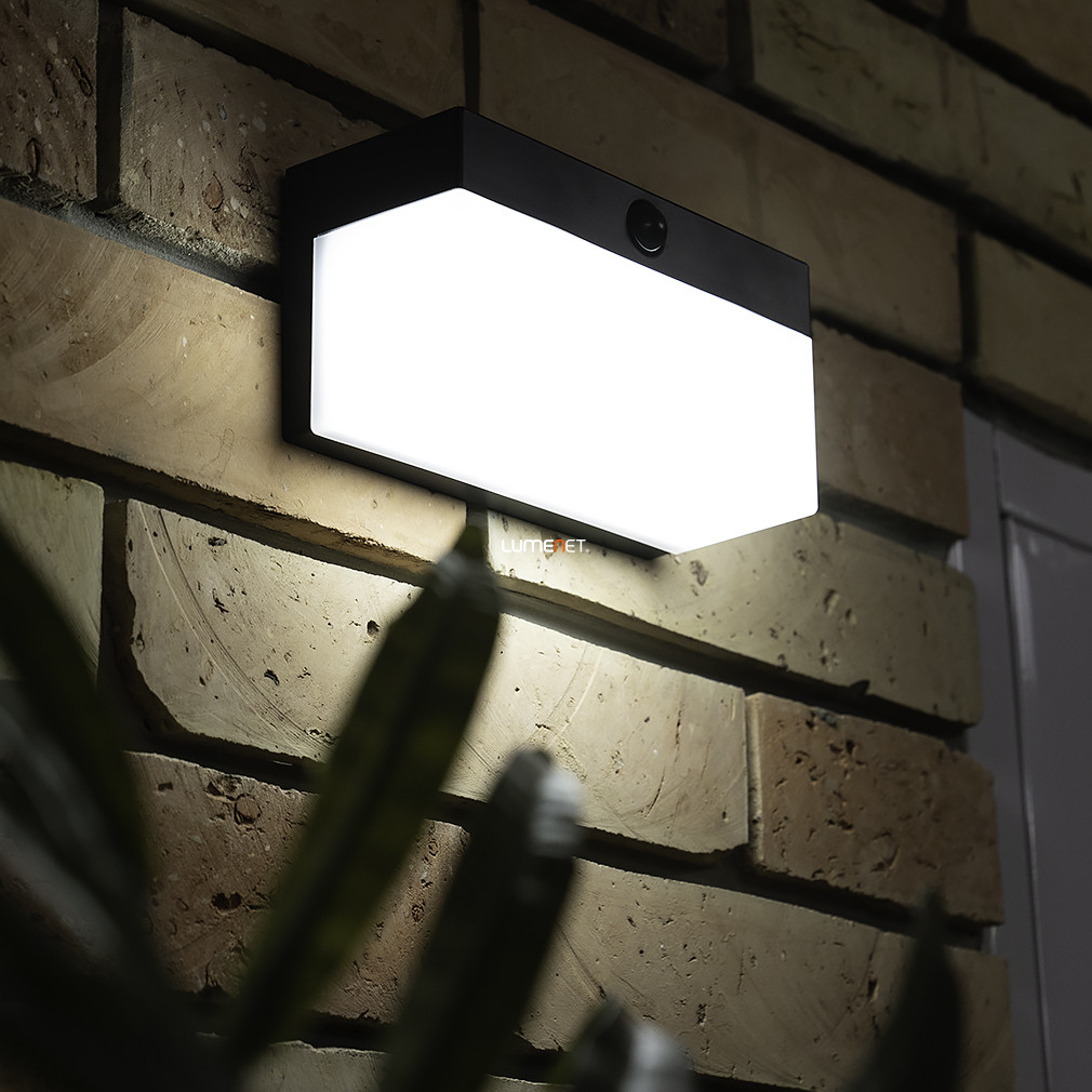 Connect Smart napelemes fali LED lámpa mozgásérzékelővel kültérre 9,7 W, hideg-melegfehér, fekete (Fran)