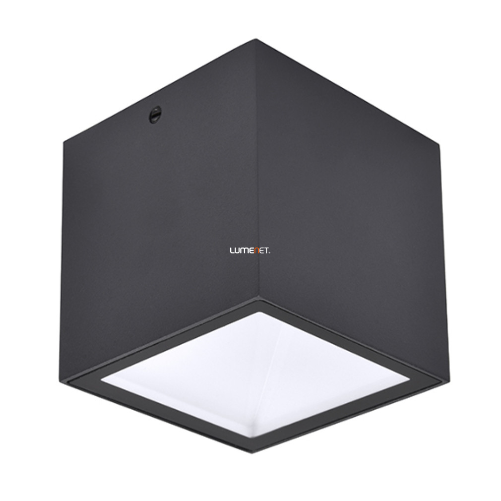 Kültéri mennyezeti LED lámpa 6,9 W, hidegfehér, szürke színű - Gemini Lutec 6389101118
