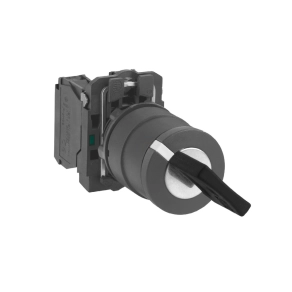   Schneider Electric Harmony XB5 - XB5AG25 - komplett műanyag kapcsoló, Ø22, 458A kulcsos, 2 állású, 2NO