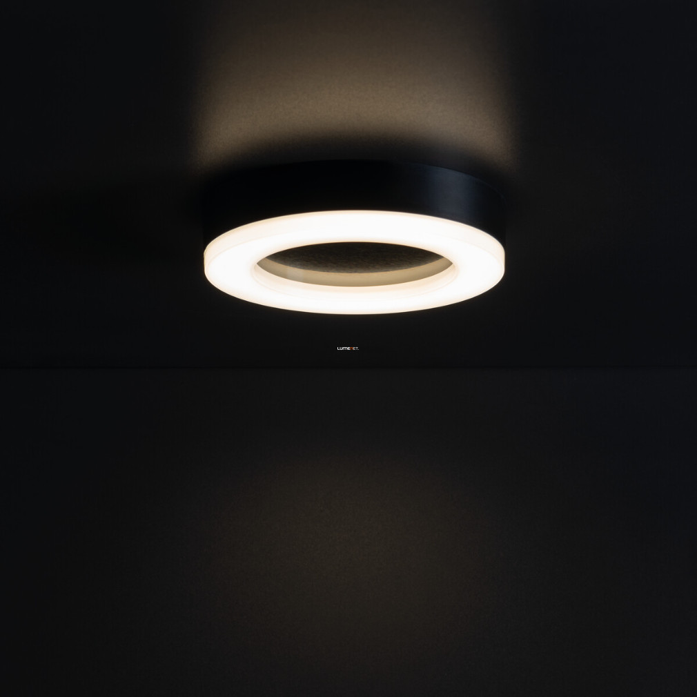 Kültéri mennyezeti LED lámpa, 15W, hidegfehér fényű, IP65 (Tura)
