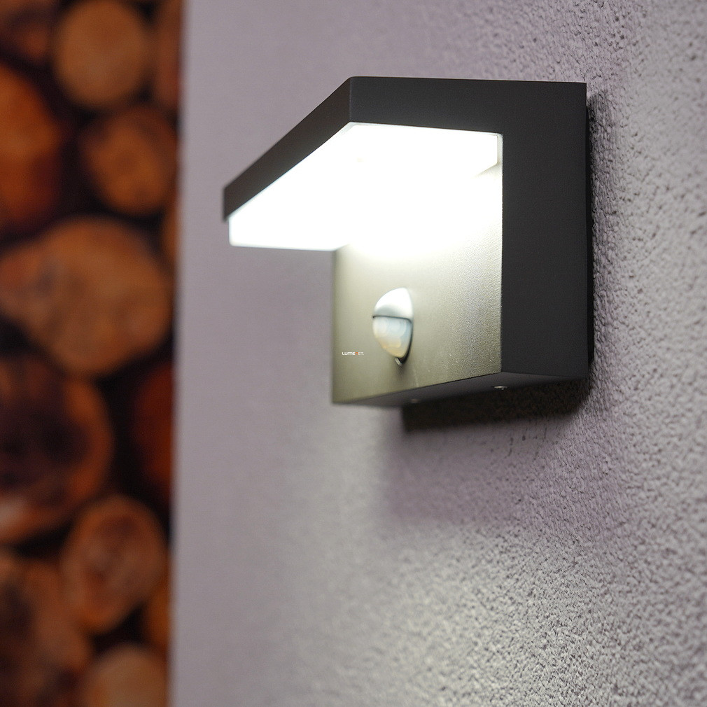 Philips kültéri mozgásérzékelős fali LED lámpa 2x4,5W hidegfehér 1000lm (myGarden Bustan)