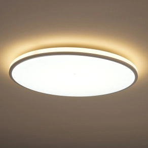   Philips kapcsolóval szabályozható mennyezeti LED lámpa, hidegfehér, 22 W, fehér (Ozziet)
