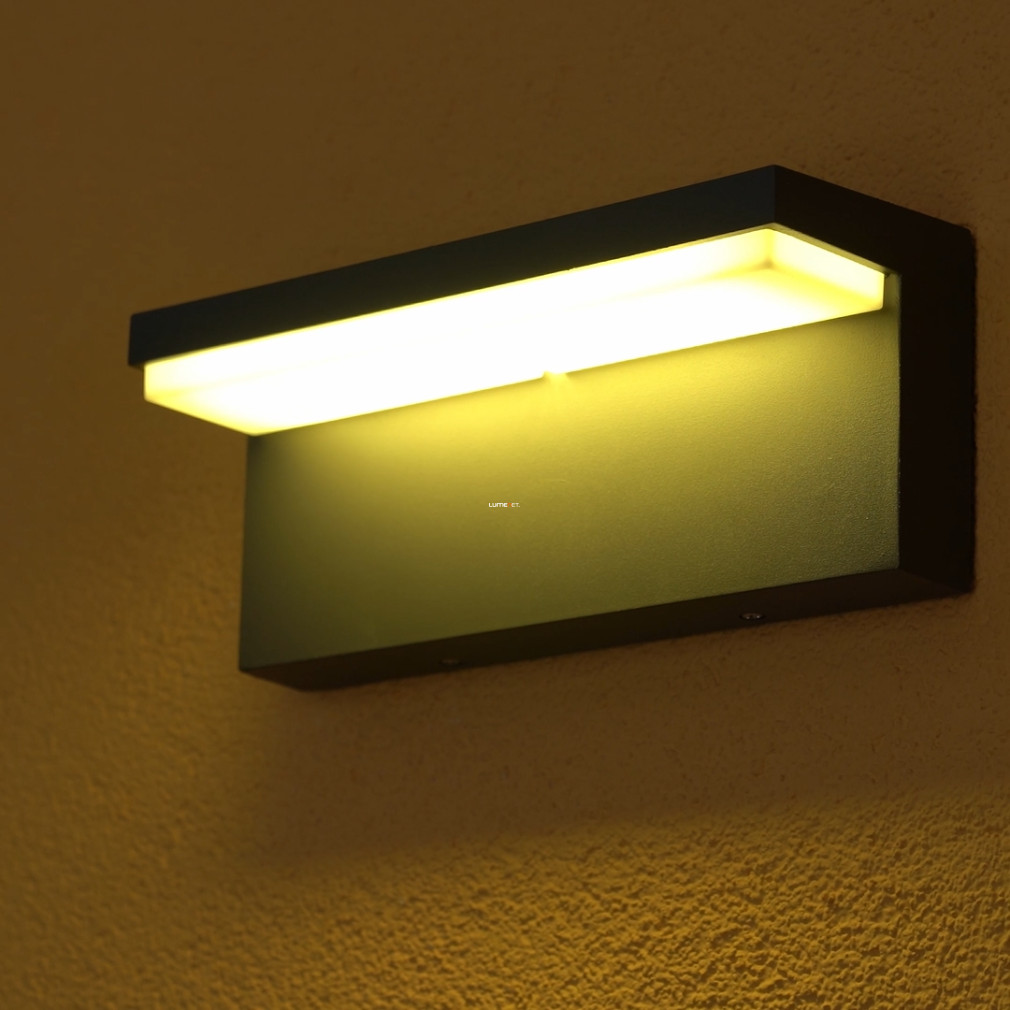Philips kültéri lefelé világító fali LED lámpa (Bustan)