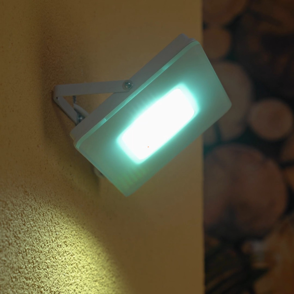LED reflektor 30 W, hidegfehér (Faedo)