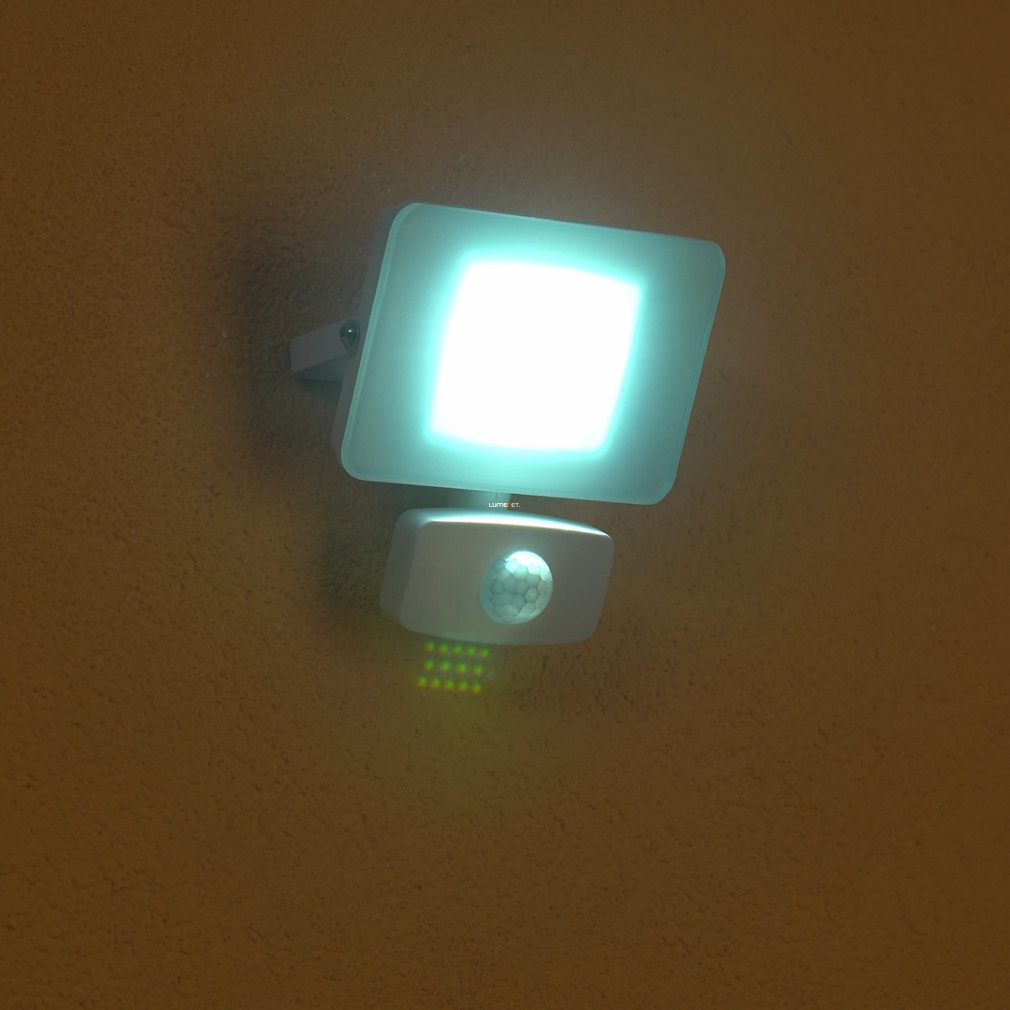 Mozgásérzékelős LED reflektor 10 W, hidegfehér (Faedo)