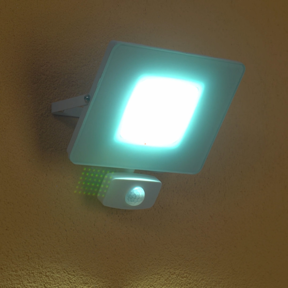 Mozgásérzékelős LED reflektor 30 W, hidegfehér (Faedo)
