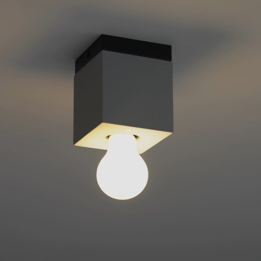 Mennyezeti lámpa, fekete-szürke színű (Prestwick)