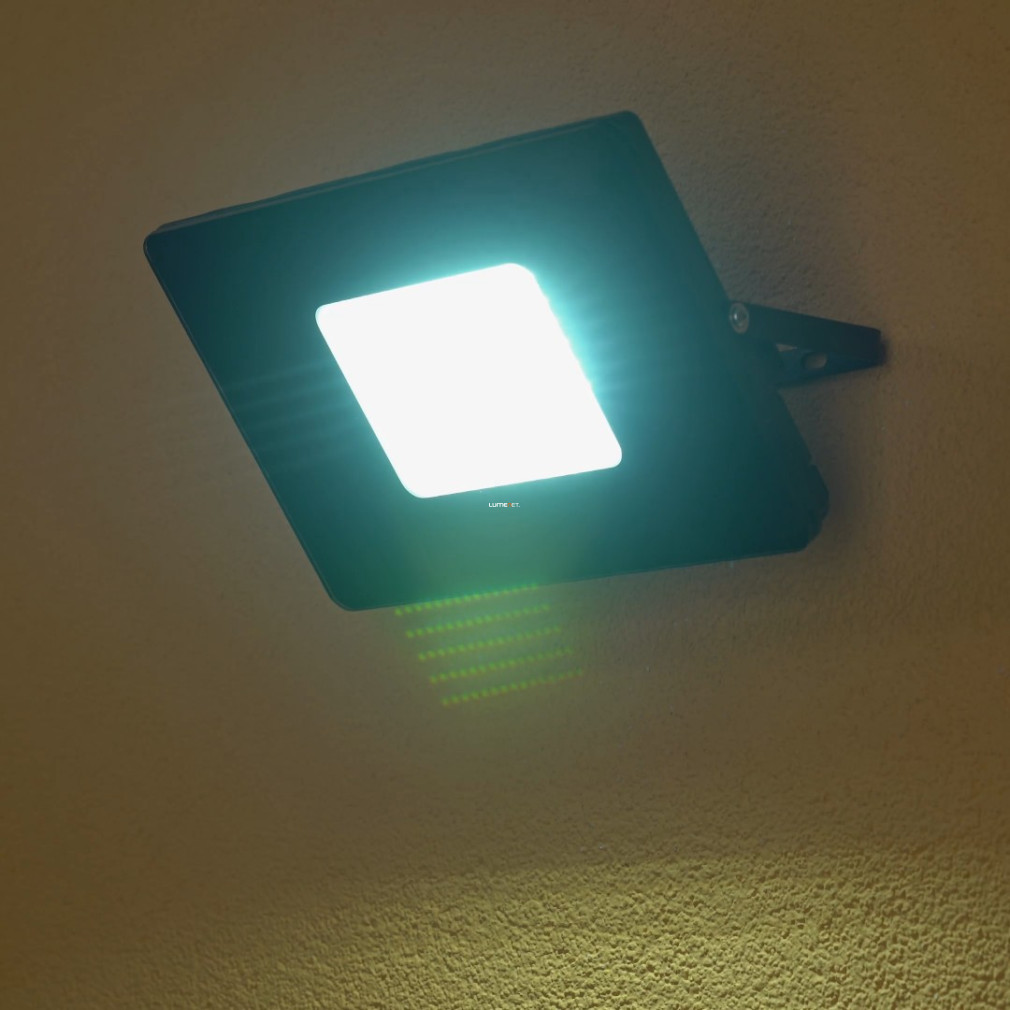 LED reflektor 50 W, hidegfehér, fekete (Faedo)