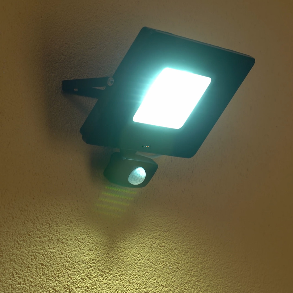 Mozgásérzékelős LED reflektor 50 W, hidegfehér, fekete (Faedo)