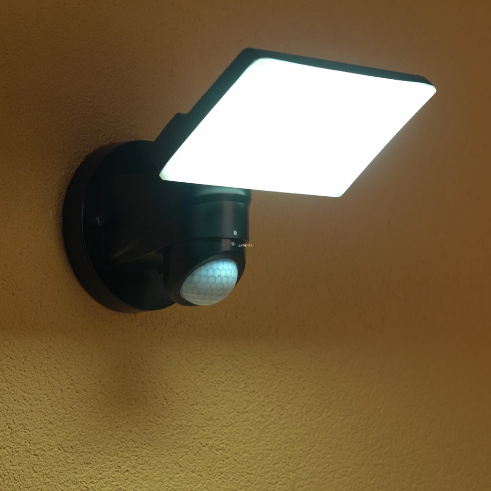 Mozgásérzékelős kültéri fali LED lámpa 102 W, hidegfehér, fekete, 18x26 cm, áttetsző (Faedo)