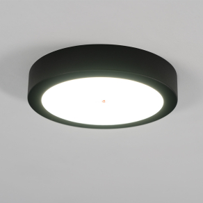   Mennyezeti LED lámpa fekete, hidegfehér fényű - Fueva 5 Eglo 99233