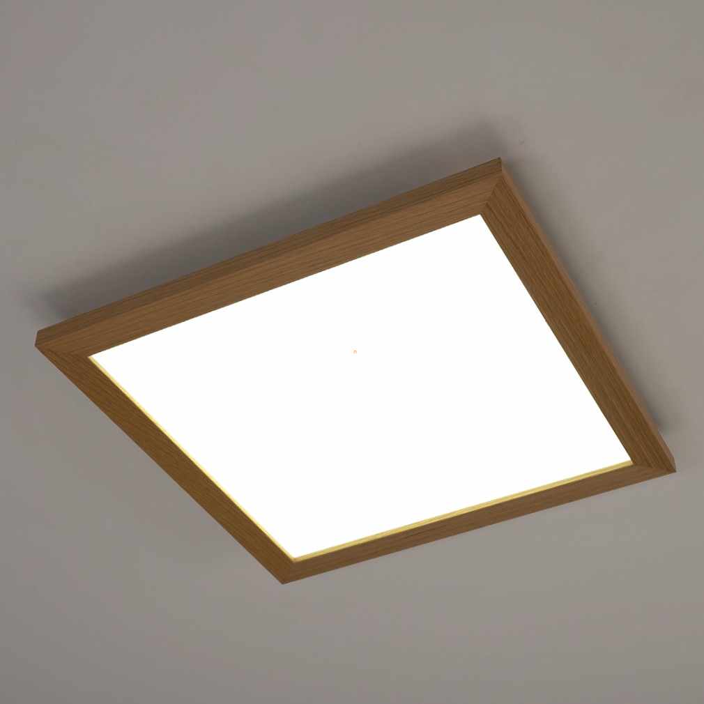 Mennyezeti LED lámpa 20 W, hidegfehér, fehér-fa színű (Piglionasso)