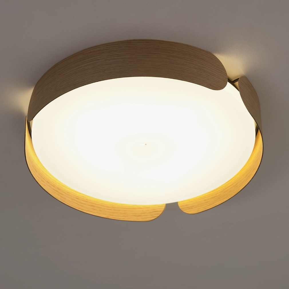 Mennyezeti LED lámpa 24 W, melegfehér, fa-fehér színű (Valcasotto)
