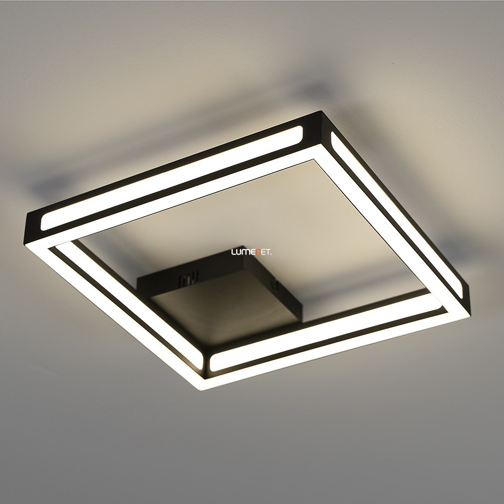 Mennyezeti LED lámpa (Altaflor)