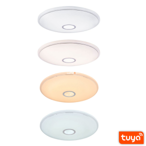   Távirányítós mennyezeti LED lámpa 30 W, hideg-melegfehér - Connor Globo 41386-30SH