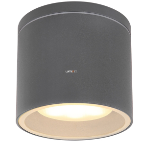 Kültéri mennyezeti lámpa, antracit - Alcala Globo 32063A