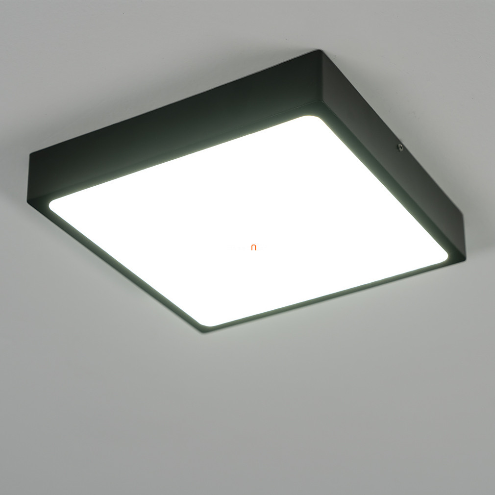 Mennyezeti LED lámpa, 17x17 cm (Echo)