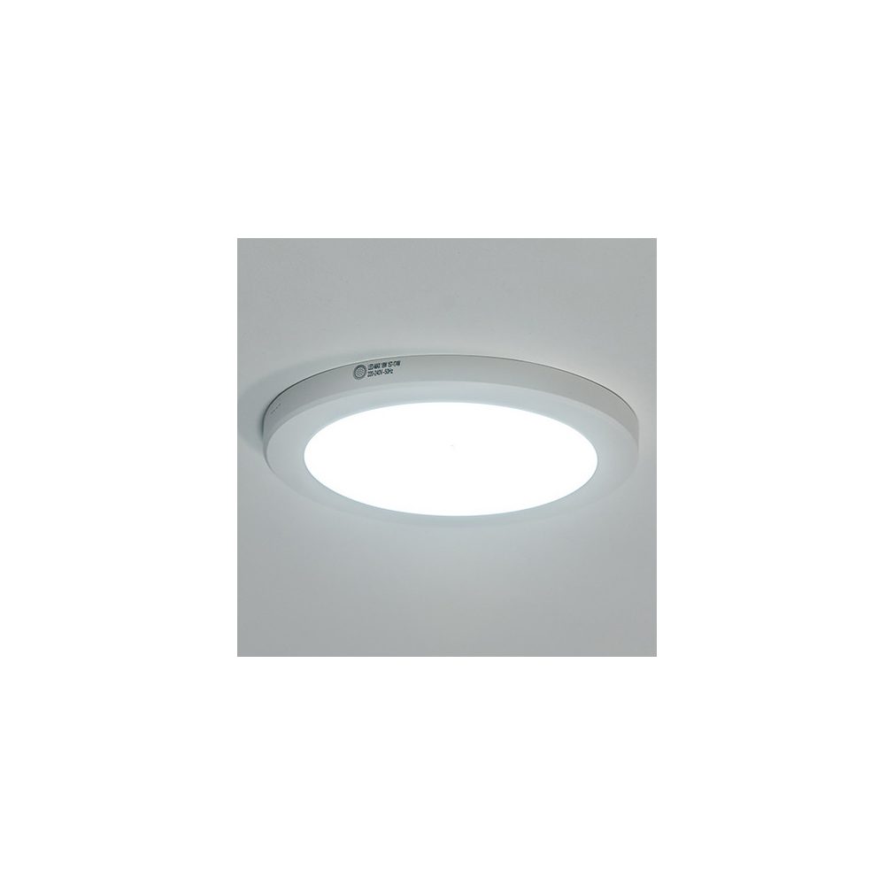 Mennyezeti LED lámpa, hidegfehér/melegfehér, 22 cm, fehér (Lasse)
