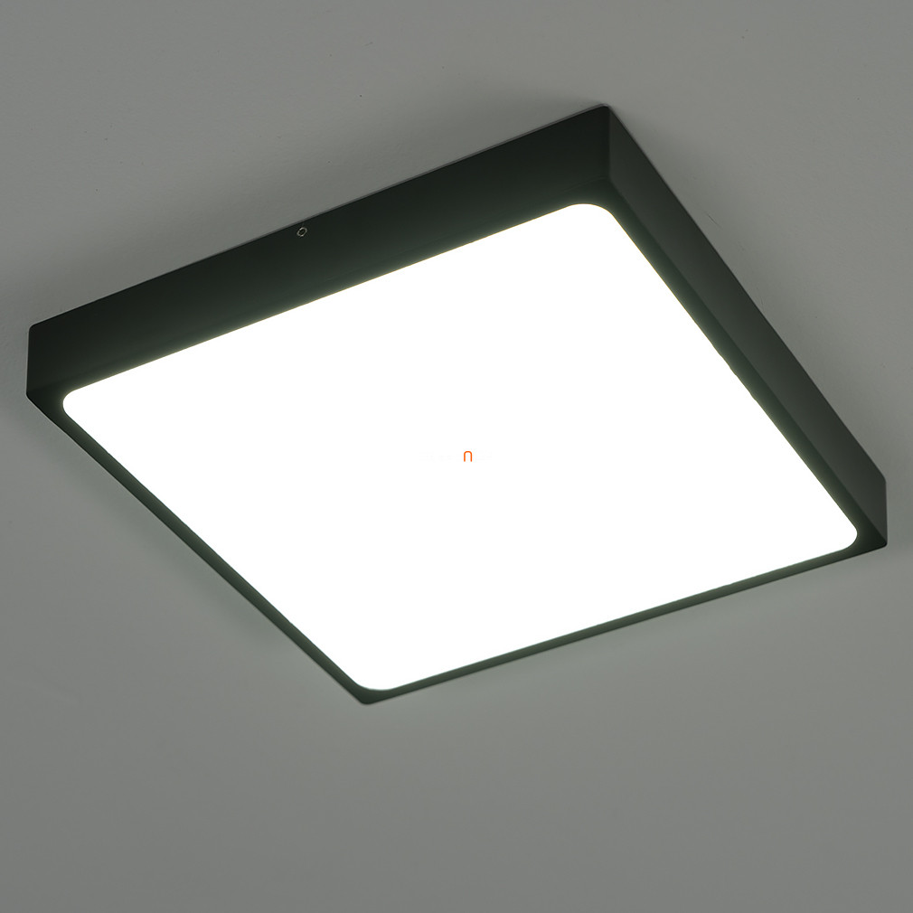 Mennyezeti LED lámpa fekete színben (Echo)