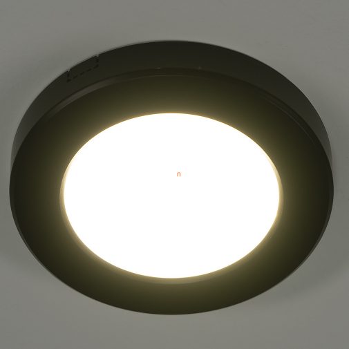 Globo 12379-6B Lasse mennyezeti LED lámpa