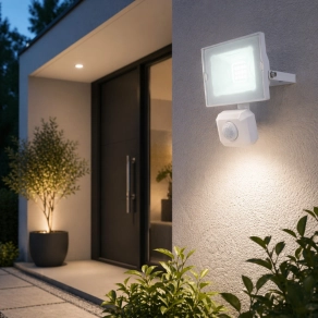   LED reflektor mozgásérzékelővel, 10 W, extra hidegfehér - Helga Globo 34247WS