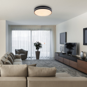   Távirányítós mennyezeti LED lámpa 40 W, hideg-melegfehér - Manni Globo 41759-40