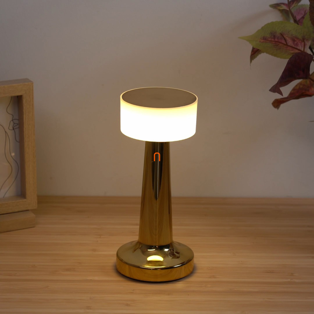 Szabályozható asztali LED lámpa, 21,5cm - Angelika Globo 58447M, akkumulátoros, tölthető, hordozható, dimmelhető, érintőkapcsolós, 1.5 méretes kábellel, 2700-6500-4000 K, 55 lm, 1 W, 230 V