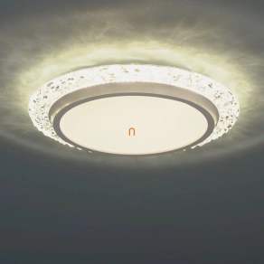   Mennyezeti LED lámpa, kristály keretes - Abigail Globo 48294-22