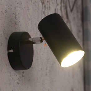 Fali spot lámpa - Allvi Globo 57914-1